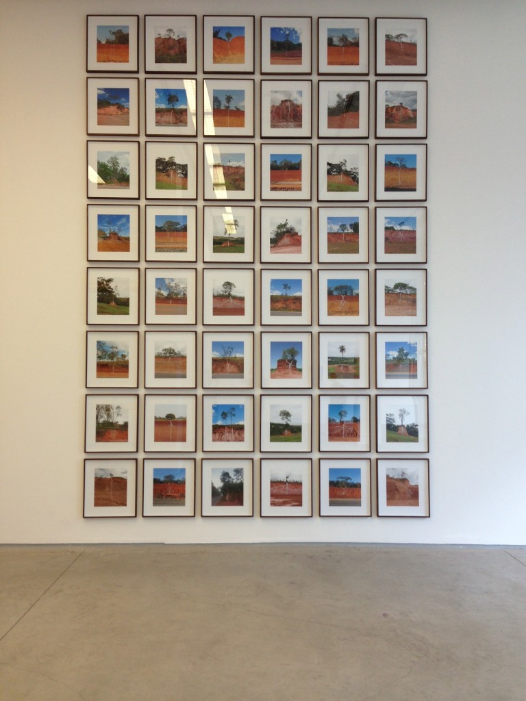 Pedro Motta - Celma Albuquerque Galeria de Arte Contemporânea