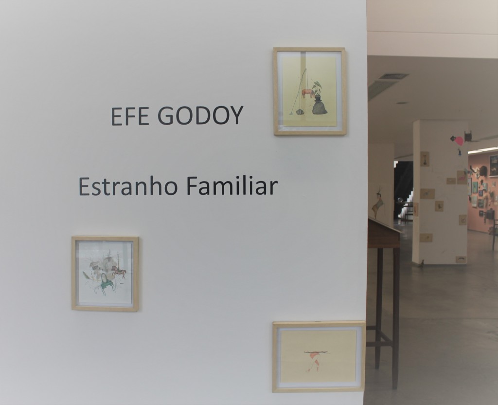 Efe Godoy - Celma Albuquerque Galeria de Arte Contemporânea