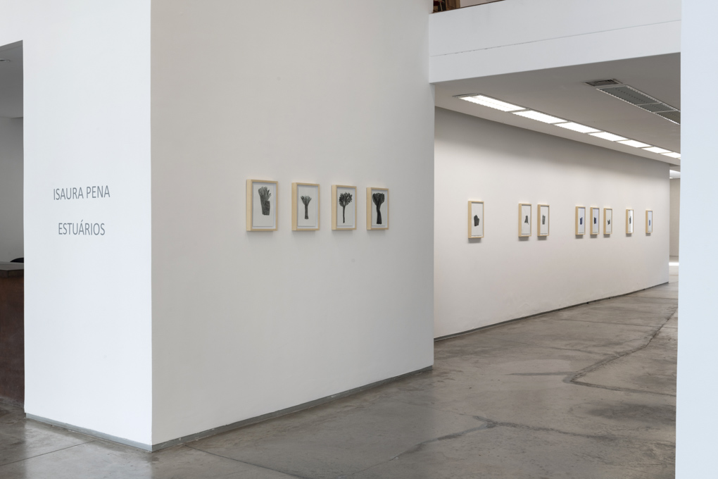 Isaura Pena - Celma Albuquerque Galeria de Arte Contemporânea